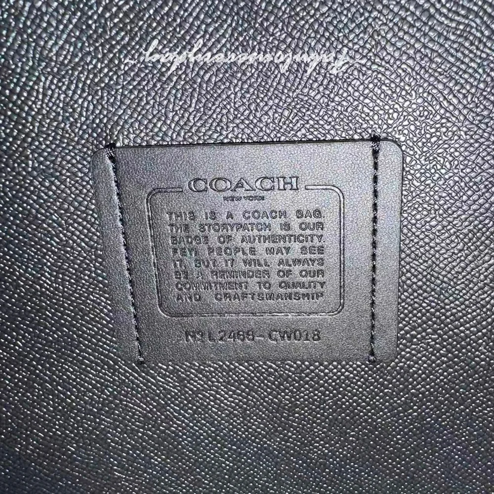 Coach Mollie Tote Bag In Crocodile-embossed Leather/Silver/Black CW018